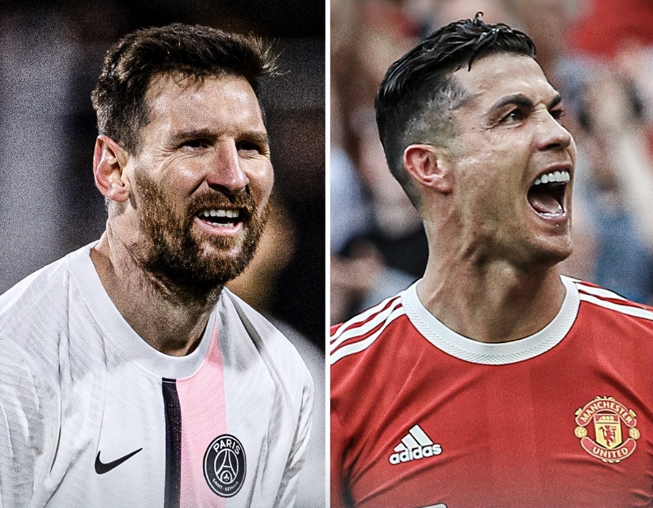 是预测粤沪 是预测粤沪