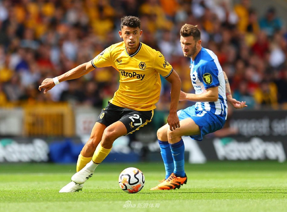 互利的机会 互利的机会